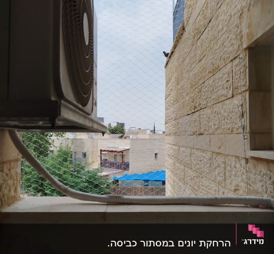 רשת למניעת כניסת יונים על קיר חיצוני
